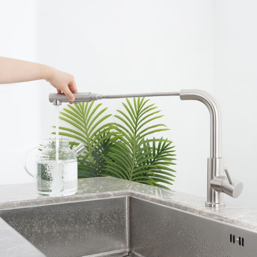 CS-102 20256 Sento stainless steel CS-102 single hole mono faucet with dual sprayer.